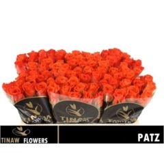 Rs gr Patz